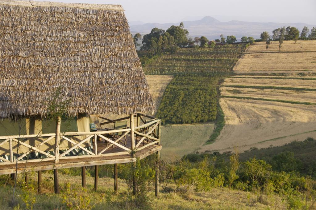 Rhotia Valley Tented Lodge And Children'S Home Karatu Room photo
